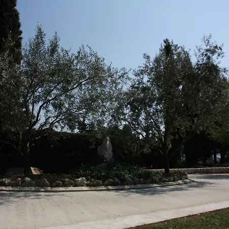 Apartment - Mulo 6155h