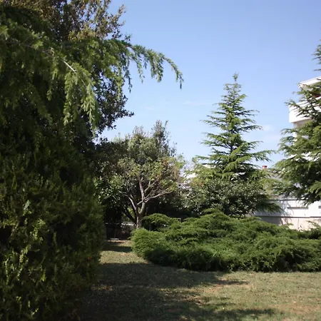 Apartamento - Mulo 6155h *