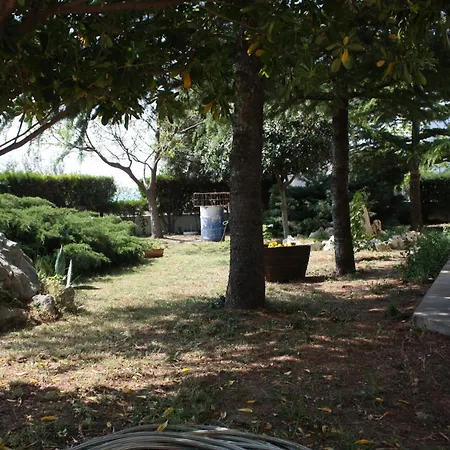 - Mulo 6155h Appartamento Vrsi