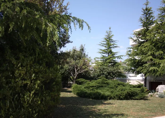 Апартаменты - Mulo 6155h *